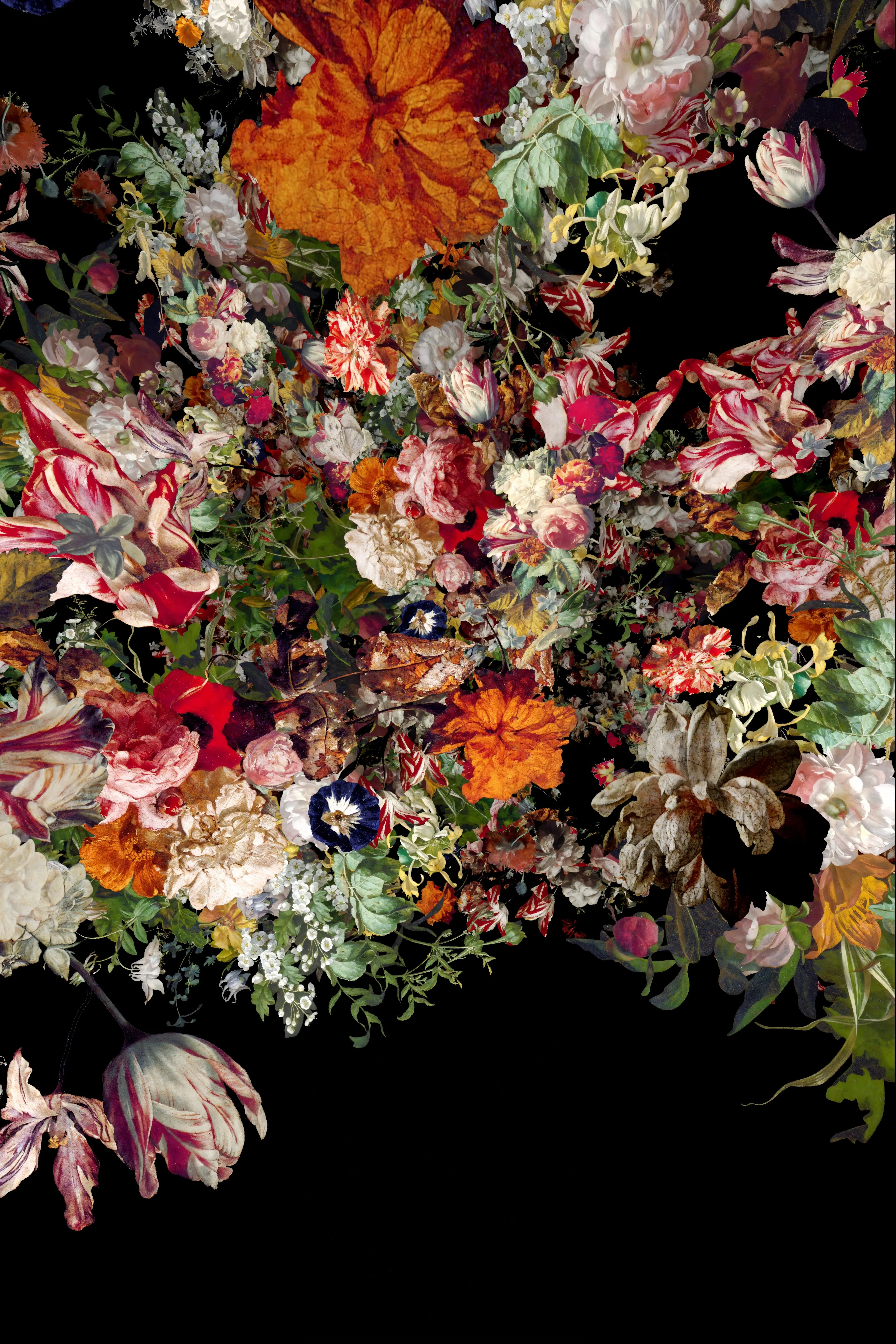 Ocular Fleur 2