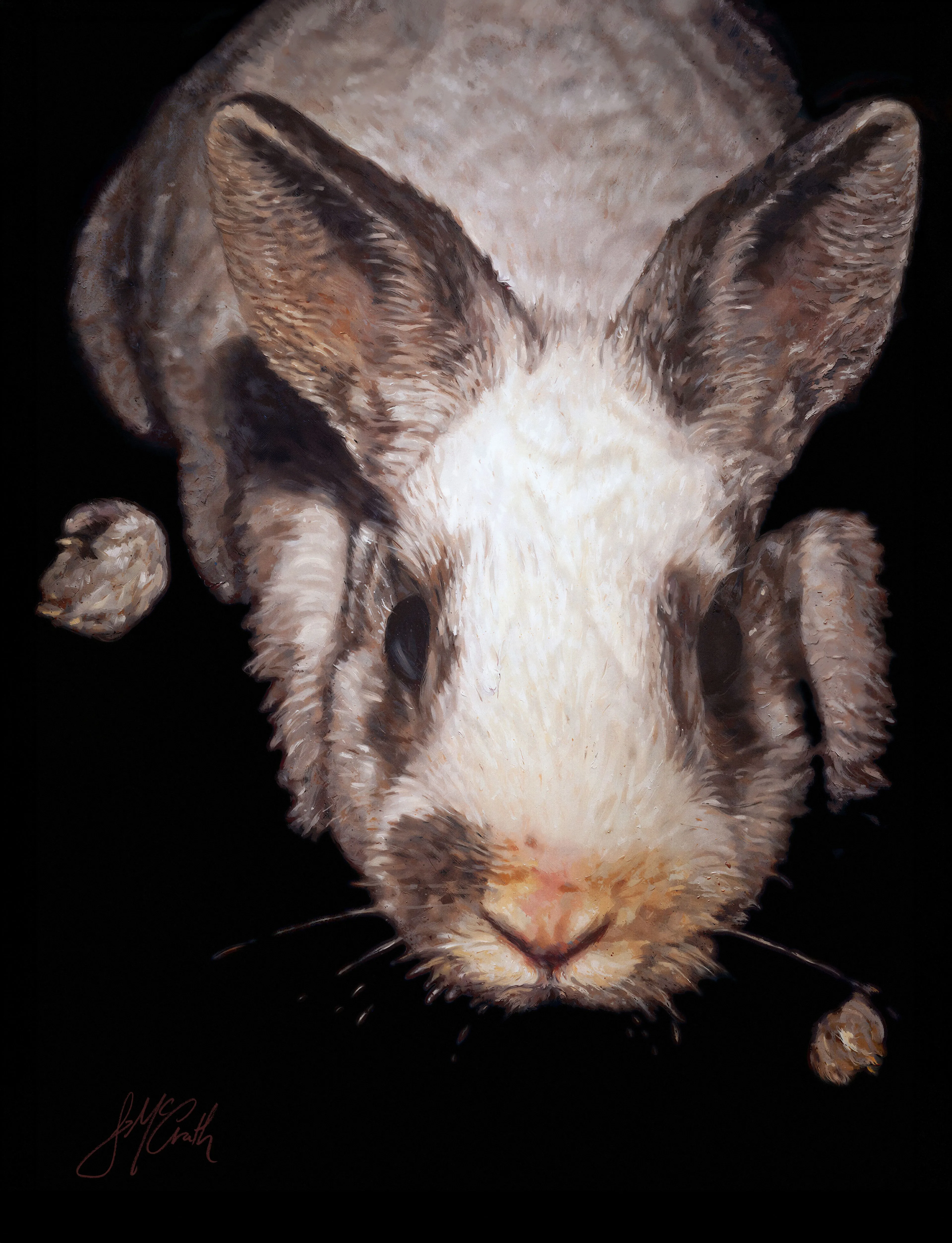 Durer's Rabbit, 2026 — Archival pigment print
