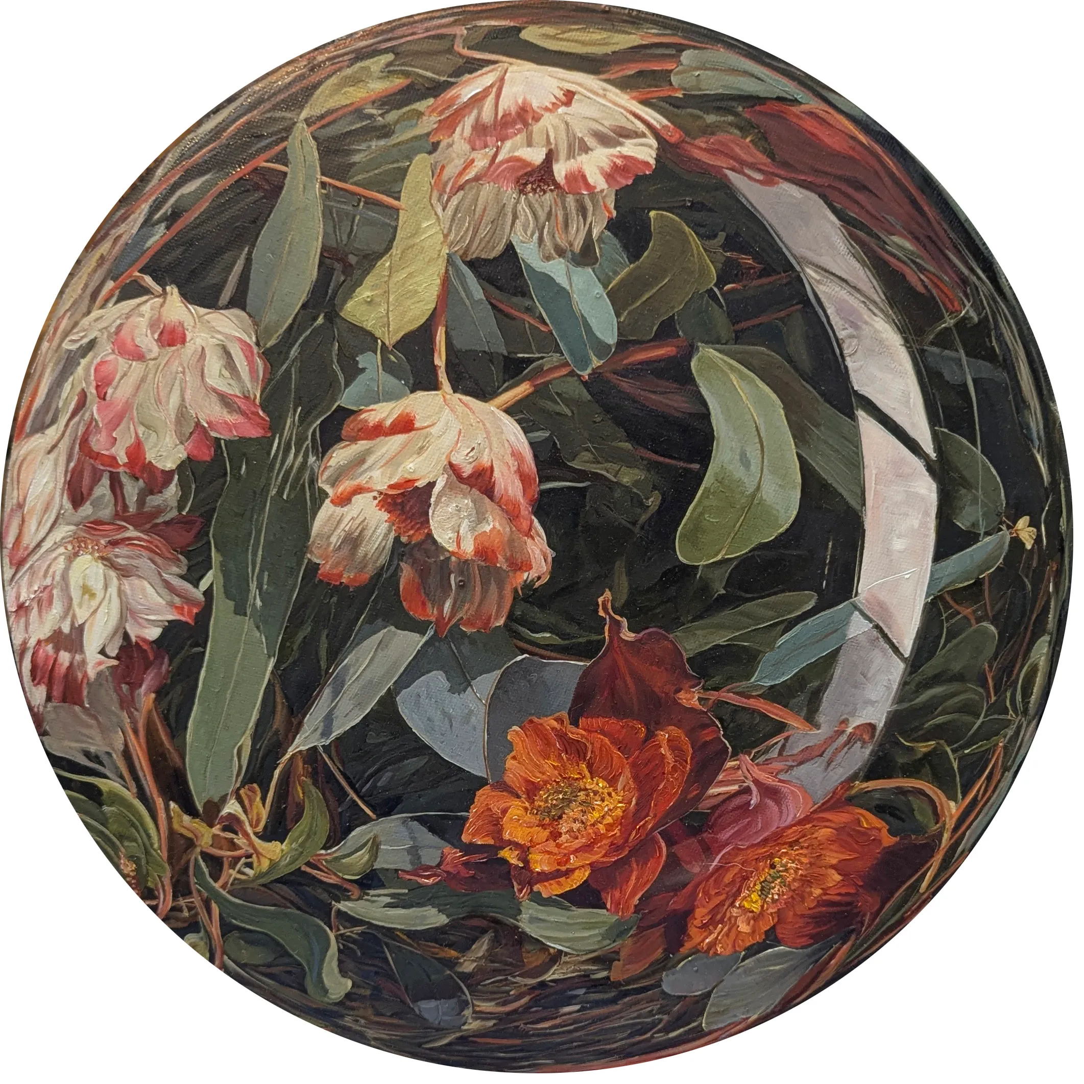 Sphaeraflora 13, 2025 — oil on canvas mounted to board