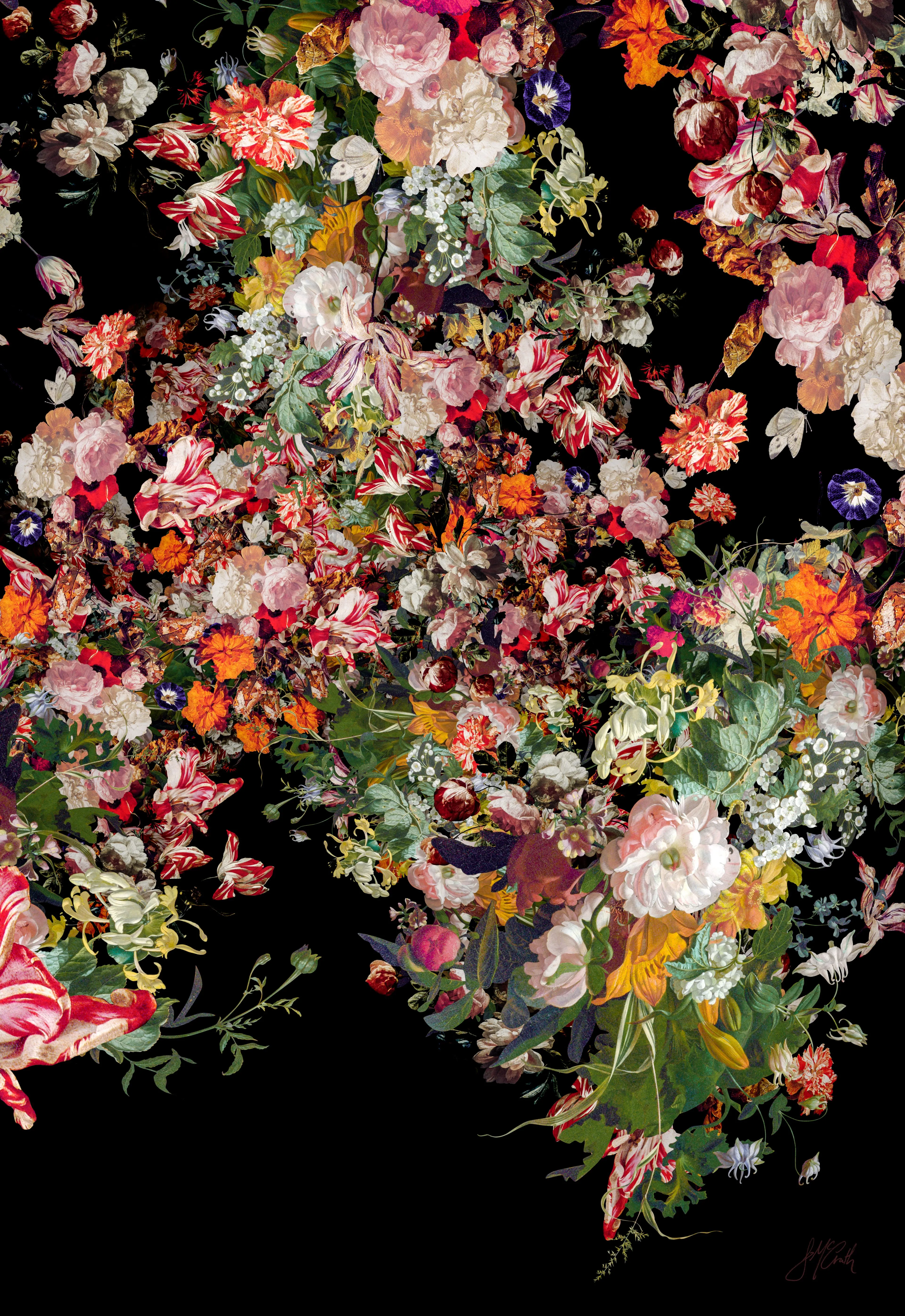 Ocular Fleur 3, 2026 — Archival pigment print