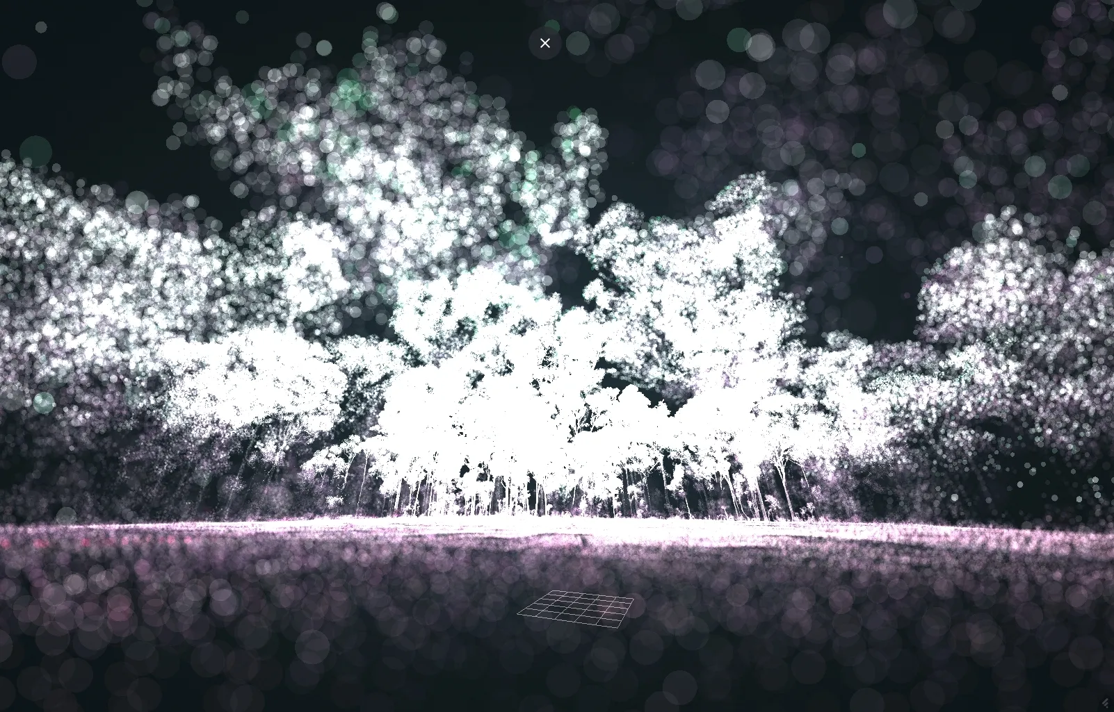 Work from the Ghost Trees series, 2022