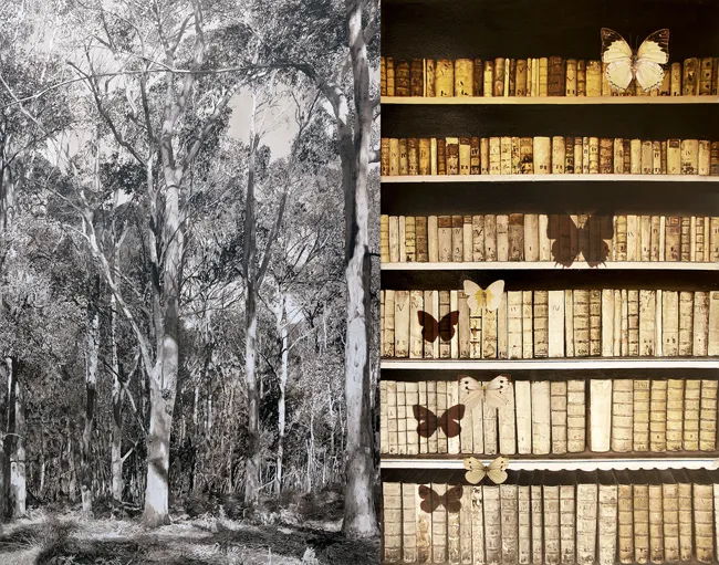 Painting from the Forest Lucuna series, 2013