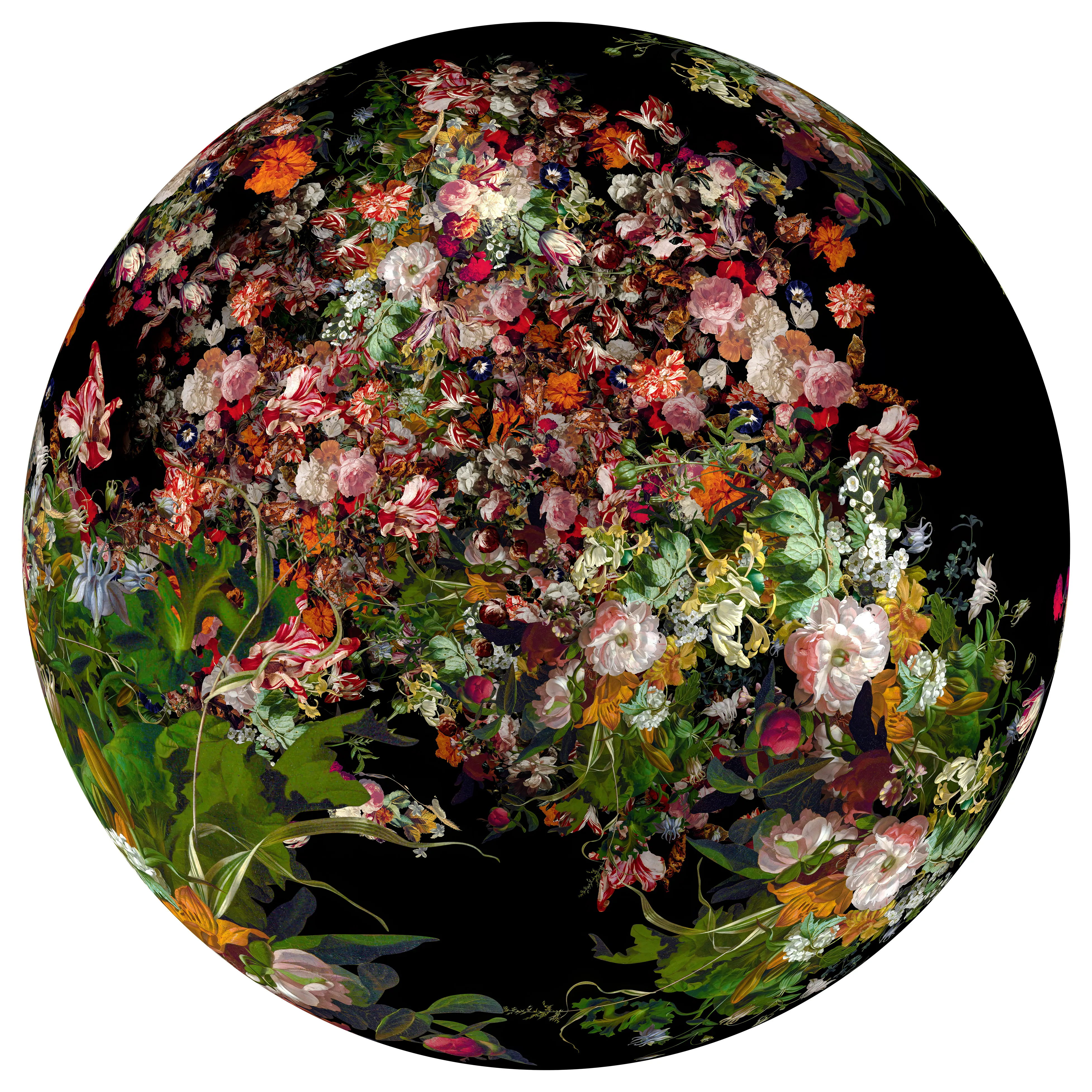 Ocular Fleur 1